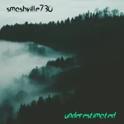 Underestimated - Single by Smashville730 album reviews, ratings, credits