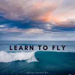 Learn to Fly - Single by Declan Herman Bin album reviews, ratings, credits