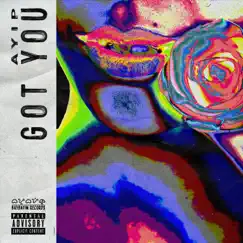 Got You - Single by Ayip & David Daliva album reviews, ratings, credits