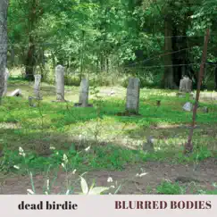 Dead Birdie (Original Motion Picture Soundtrack) by Blurred Bodies album reviews, ratings, credits