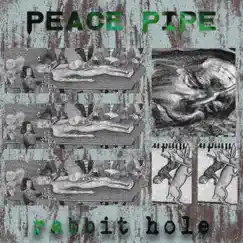 Rabbit Hole - Single by Peace Pipe album reviews, ratings, credits
