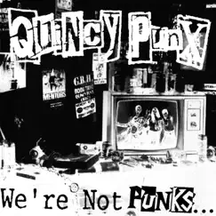 We're Not Punks...but We Play Them on TV by Quincy Punx album reviews, ratings, credits