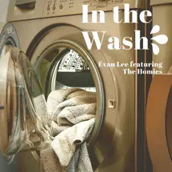 In the Wash (feat. The Homies) Song Lyrics