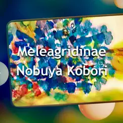 Meleagridinae (DX-7 Bell Piano Version) - Single by Nobuya Kobori album reviews, ratings, credits