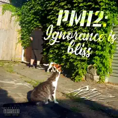 Pardon My Ignorance 2: Ignorance Is Bliss by Rillz album reviews, ratings, credits