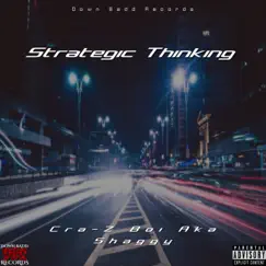 Strategic Thinking - Single by Cra-Z Boi Aka Shaggy album reviews, ratings, credits