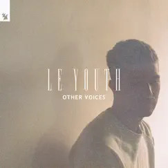 Other Voices - Single by Le Youth album reviews, ratings, credits