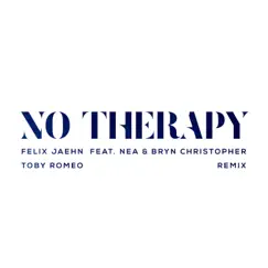 No Therapy (feat. Nea & Bryn Christopher) [Toby Romeo Remix] Song Lyrics