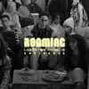 roaming unplugged - EP album lyrics, reviews, download
