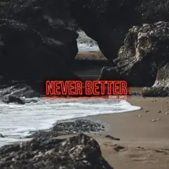 Never Better by Burnt Tapes album reviews, ratings, credits