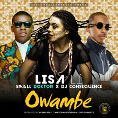 Owambe - Single by Lisa Li, SMALL DOCTOR & Dj Consequence album reviews, ratings, credits