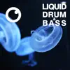 Liquid Drum & Bass Sessions 2020 Vol 25 album lyrics, reviews, download