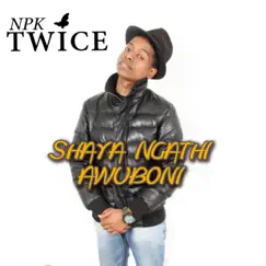 Shaya Ngathi Awuboni by Npk Twice album reviews, ratings, credits