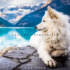 Healing Frequencies for Pets: Hz Music Therapy, Relaxation for Dogs, Anti Stress and Anxiety Sounds by Calm Pets Music Academy album reviews, ratings, credits