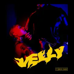 Velly by Nouvèl album reviews, ratings, credits