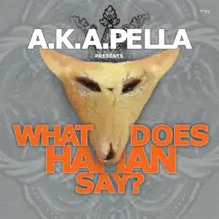 What Does Haman Say - Single by A.K.A. Pella album reviews, ratings, credits