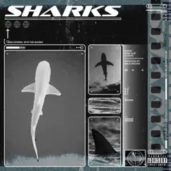 Sharks (feat. Dance Harris, X Static & Yung Clip) Song Lyrics