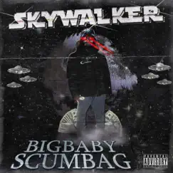 SkyWalker - Single by Big Baby Scumbag album reviews, ratings, credits