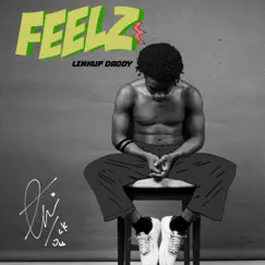 Feelz - Single by Link UP Daddy album reviews, ratings, credits