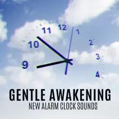 Natural Awakening - 245 Hz Song Lyrics