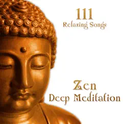 Binaural Beats for Meditation Song Lyrics