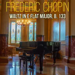 Waltz in E Flat Major, Op. Posth. B. 133 Song Lyrics