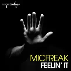 Feelin' It (The Album) by MicFreak album reviews, ratings, credits