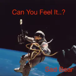 Can You Feel It? by Sad Bear album reviews, ratings, credits