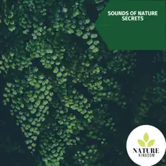 Sounds of Nature Secrets by Nature Field Recordings & Nature Atmospheres album reviews, ratings, credits