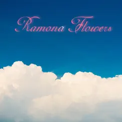 Ramona Flowers Song Lyrics