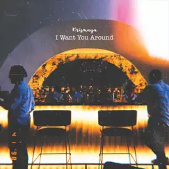 I Want You Around (Acoustic Version) [feat. Tebo Riyadi] Song Lyrics