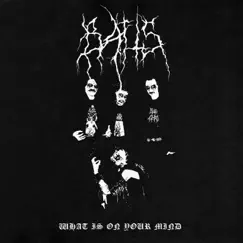 What’s on Your Mind - Single by Baits album reviews, ratings, credits