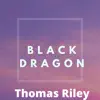 Black Dragon - Single album lyrics, reviews, download