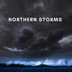 Perfect Storm - Single by Northern Storms album reviews, ratings, credits
