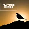 Nature Birds - Mother Nature - EP album lyrics, reviews, download