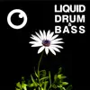 Liquid Drum & Bass Sessions 2020 Vol 35 album lyrics, reviews, download