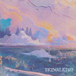 Skywalking - Single by HideMySoul album reviews, ratings, credits