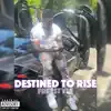 Destined To Rise Freestyle - Single album lyrics, reviews, download