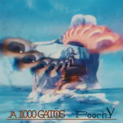 A 1000 Gatos by Poochy album reviews, ratings, credits