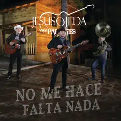 No Me Hace Falta Nada - Single by Jesús Ojeda y Sus Parientes album reviews, ratings, credits