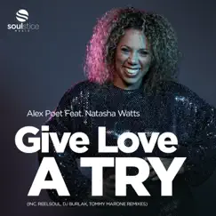 Give Love a Try (Reelsoul Remix) [feat. Natasha Watts] Song Lyrics
