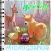 MicroCosmos (feat. Yuto Kanazawa, Andrew McGowan & Ilya Dynov) album lyrics, reviews, download