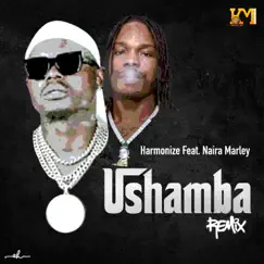 Ushamba (feat. Naira Marley) [Remix] Song Lyrics