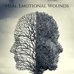 Heal Emotional Wounds: Binaural Beats Meditation by Brain Waves Therapy album reviews, ratings, credits