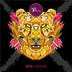 Overdose - Single by NTFO album reviews, ratings, credits