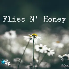 Flies N' Honey - Single by Texas Runaway album reviews, ratings, credits