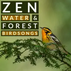 Gentle Bird Sounds and Natural Running Water Song Lyrics