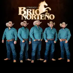Directo Al Corazón - Single by Conjunto Brio Norteño album reviews, ratings, credits