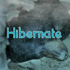 Hibernate Song Lyrics