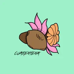 Cuarentena - Single by Terriblemente Desterrados album reviews, ratings, credits